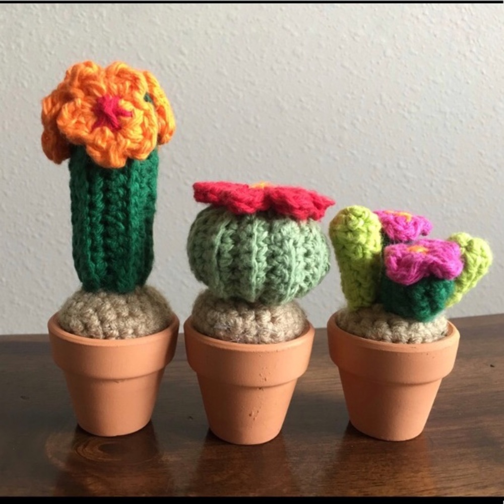 🌵Mini Cactus 🌵